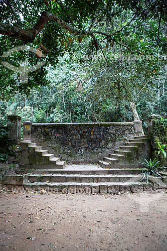  Detalhe de ruínas de escada de antiga fazenda de café em trilha no Parque Nacional da Tijuca  - Rio de Janeiro - Rio de Janeiro (RJ) - Brasil