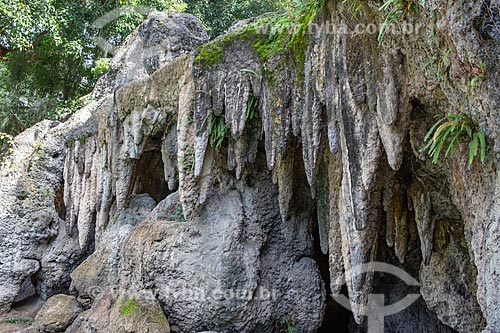  Detalhe da gruta no Parque da Quinta da Boa Vista  - Rio de Janeiro - Rio de Janeiro (RJ) - Brasil