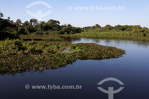  Vista do corixo São Domingos - afluente do Rio Miranda  - Miranda - Mato Grosso do Sul (MS) - Brasil