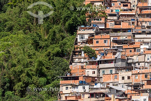  Vista da divisão entre a vegetação e a Favela do Cerro Corá  - Rio de Janeiro - Rio de Janeiro (RJ) - Brasil
