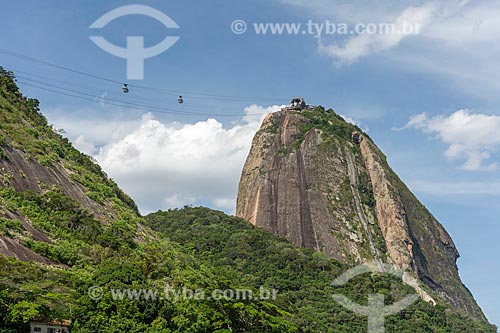  Vista do Pão de Açúcar a partir da Praia Vermelha  - Rio de Janeiro - Rio de Janeiro (RJ) - Brasil