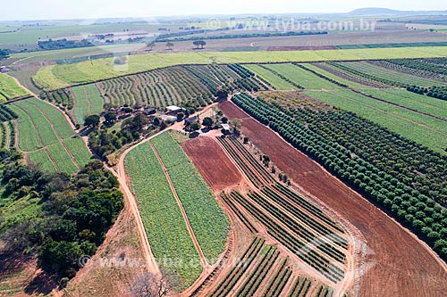  Foto feita com drone da plantação de pimentão e abóbora com pomar de manga - à direita - e canavial ao fundo  - Taquaritinga - São Paulo (SP) - Brasil