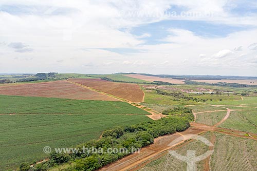  Foto feita com drone de plantação na zona rural da cidade de Rio Claro  - Rio Claro - São Paulo (SP) - Brasil