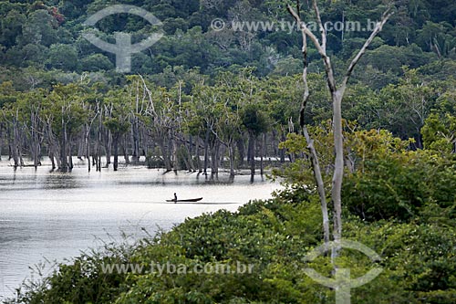  Ribeirinho navegando no Rio Uatumã  - Amazonas (AM) - Brasil