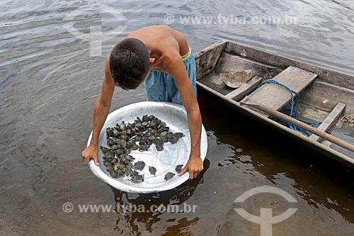  Menino ribeirinho segurando bacia com filhotes de tartaruga-da-amazônia (Podocnemis expansa) às margens do Rio Uatumã  - Amazonas (AM) - Brasil