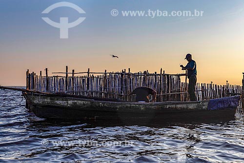  Pescador montando curral de pesca na Baía de Guanabara durante o amanhecer  - Magé - Rio de Janeiro (RJ) - Brasil