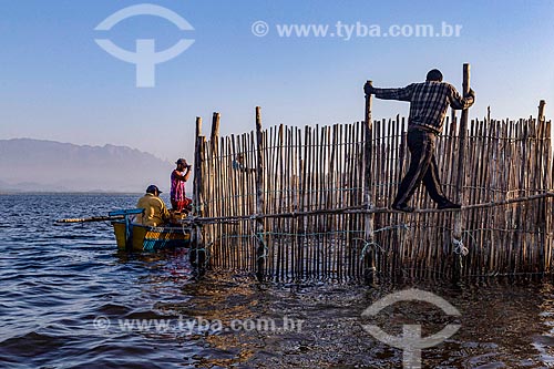  Pescadores montando curral de pesca na Baía de Guanabara durante o amanhecer  - Magé - Rio de Janeiro (RJ) - Brasil
