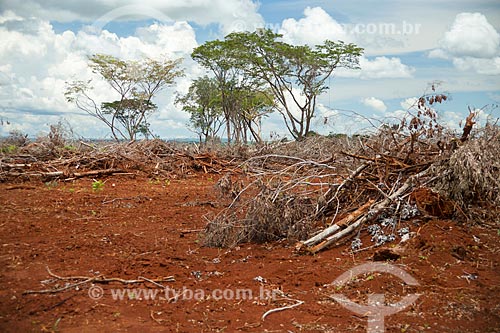  Área com vegetação típica do cerrado desmatada para ampliação de área de plantação de soja  - Caiapônia - Goiás (GO) - Brasil