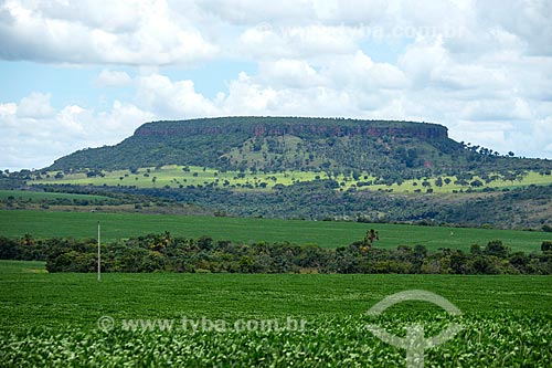  Plantação de soja com o Morro da Mesa ao fundo  - Caiapônia - Goiás (GO) - Brasil