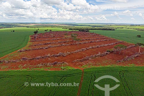  Foto feita com drone de plantação de Soja com área desmatada para ampliação de área de plantio  - Caiapônia - Goiás (GO) - Brasil