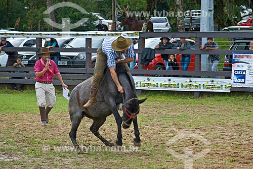  Ginete montando cavalo durante rodeio de gineteada  - Canela - Rio Grande do Sul (RS) - Brasil