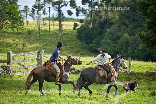  Gaúchos domando cavalo  - São Francisco de Paula - Rio Grande do Sul (RS) - Brasil