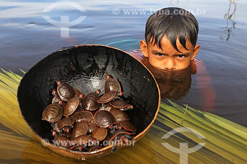  Detalhe de menino mergulhando no Rio Negro com tartarugas Irapuca (Podocnemis erythrocephala) na Reserva de Desenvolvimento Sustentável Puranga Conquista  - Manaus - Amazonas (AM) - Brasil