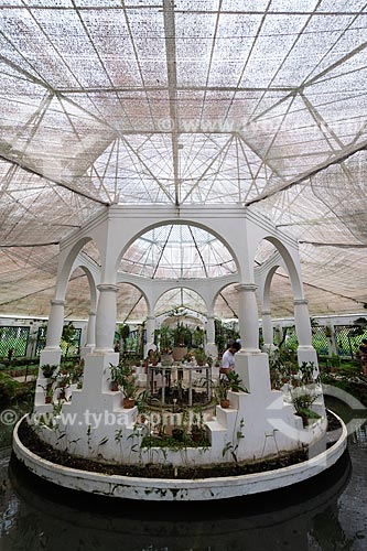  Interior do orquidário do Jardim Botânico do Rio de Janeiro  - Rio de Janeiro - Rio de Janeiro (RJ) - Brasil