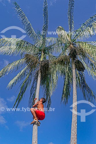  Jovem ribeirinho colhendo açaí na Reserva de Desenvolvimento Sustentável Anamã  - Barcelos - Amazonas (AM) - Brasil