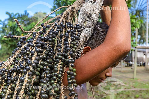  Jovem ribeirinho colhendo açaí na Reserva de Desenvolvimento Sustentável Anamã  - Barcelos - Amazonas (AM) - Brasil