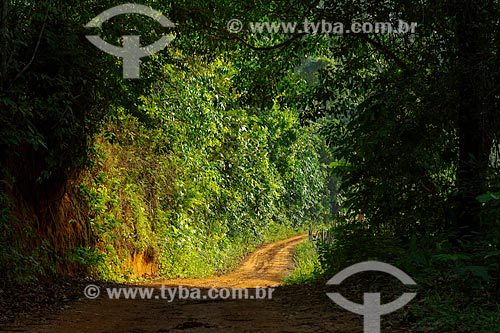  Estrada de terra na zona rural da cidade de Guarani em meio à sombra  - Guarani - Minas Gerais (MG) - Brasil