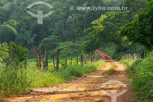  Estrada de terra na zona rural da cidade de Guarani  - Guarani - Minas Gerais (MG) - Brasil