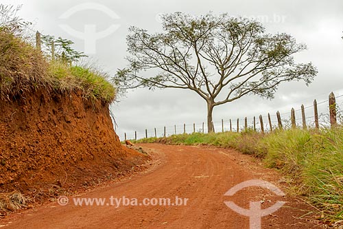  Estrada de terra na zona rural da cidade de Guarani  - Guarani - Minas Gerais (MG) - Brasil