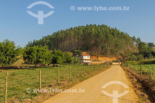  Estrada de terra e casa na zona rural da cidade de Guarani  - Guarani - Minas Gerais (MG) - Brasil