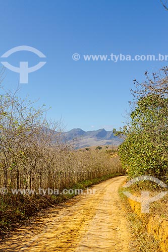  Estrada de terra na zona rural da cidade de Guarani  - Guarani - Minas Gerais (MG) - Brasil