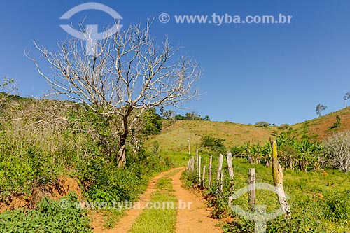  Estrada de terra na zona rural da cidade de Guarani  - Guarani - Minas Gerais (MG) - Brasil