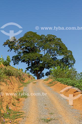  Estrada de terra na zona rural da cidade de Guarani  - Guarani - Minas Gerais (MG) - Brasil