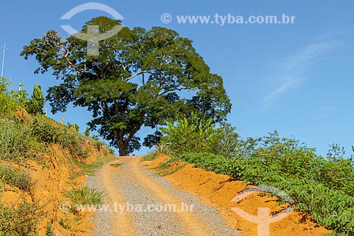  Estrada de terra na zona rural da cidade de Guarani  - Guarani - Minas Gerais (MG) - Brasil