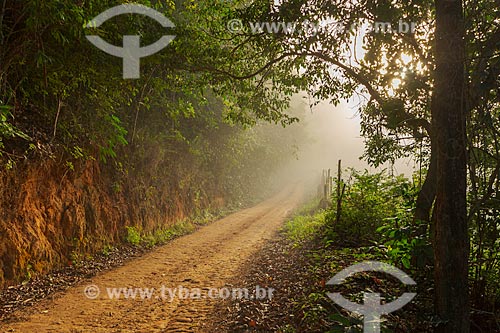  Neblina durante o amanhecer em estrada de terra na zona rural da cidade de Guarani  - Guarani - Minas Gerais (MG) - Brasil