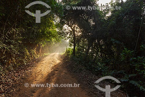  Neblina durante o amanhecer em estrada de terra na zona rural da cidade de Guarani  - Guarani - Minas Gerais (MG) - Brasil