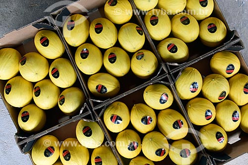  Detalhe de melões (Cucumis melo) em galpão de seleção e embalagem  - Mossoró - Rio Grande do Norte (RN) - Brasil