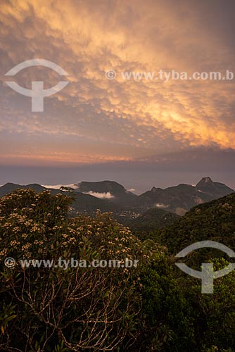  Vista a partir do Bico do Papagaio no Parque Nacional da Tijuca durante o pôr do sol  - Rio de Janeiro - Rio de Janeiro (RJ) - Brasil