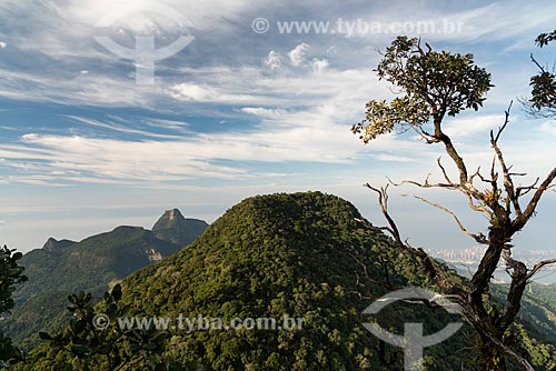  Vista do Morro da Cocanha a partir do Bico do Papagaio no Parque Nacional da Tijuca com a Pedra da Gávea ao fundo  - Rio de Janeiro - Rio de Janeiro (RJ) - Brasil