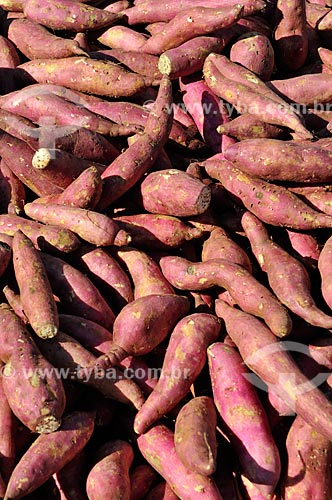  Detalhe de batata-doce (Ipomoea batatas) à venda em feira livre na cidade de Fronteira  - Fronteira - Minas Gerais (MG) - Brasil