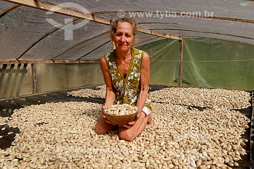  Produtora rural segurando sementes de murumuru (Astrocaryum murumuru) - conhecida por suas propriedades cosméticas - durante a secagem no Rio Juruá  - Amazonas (AM) - Brasil