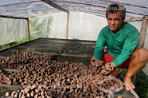  Produtor rural durante secagem da semente de andiroba na Reserva de Desenvolvimento Sustentável de Uacari  - Carauari - Amazonas (AM) - Brasil