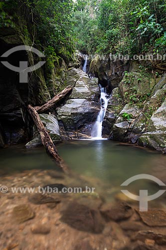  Cachoeira do Chuveiro no Horto - Parque Nacional da Tijuca  - Rio de Janeiro - Rio de Janeiro (RJ) - Brasil