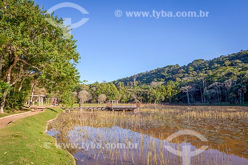 Vista geral de lago no Jardim Botânico da Universidade Federal de Juiz de Fora  - Juiz de Fora - Minas Gerais (MG) - Brasil