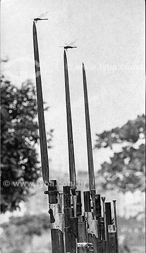  Detalhe de libélula pousada na baioneta de soldados do Exército Brasileiro  - Rio de Janeiro - Rio de Janeiro (RJ) - Brasil