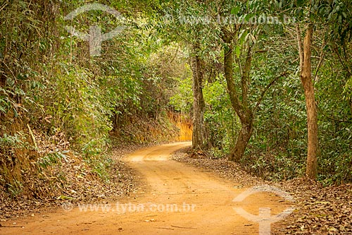  Estrada de terra na zona rural da cidade de Guarani  - Guarani - Minas Gerais (MG) - Brasil