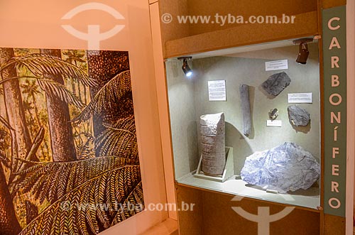  Fóssil de vegetais em exibição no Museu Nacional - antigo Paço de São Cristóvão  - Rio de Janeiro - Rio de Janeiro (RJ) - Brasil
