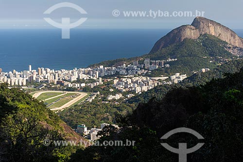  Vista do bairro do Leblon a partir do Parque Nacional da Tijuca  - Rio de Janeiro - Rio de Janeiro (RJ) - Brasil