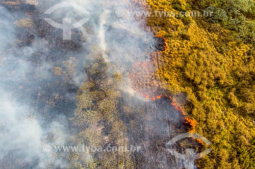  Foto feita com drone de queimada em pasto no interior paulista  - Torrinha - São Paulo (SP) - Brasil