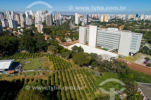  Foto feita com drone da colheita urbana de café no Instituto Biológico  - São Paulo - São Paulo (SP) - Brasil