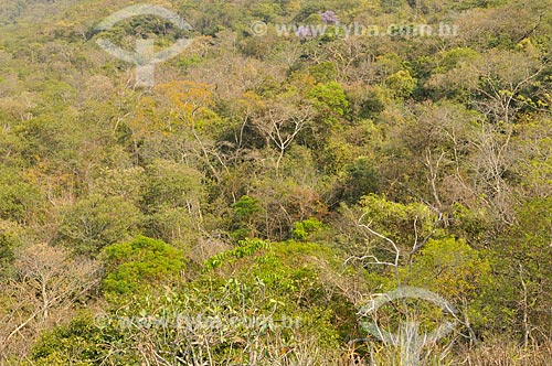 Área de vegetação de cerrado na encosta da Gruta do Pitoco - na Serra do Bom Sucesso  - Alcinópolis - Mato Grosso do Sul (MS) - Brasil