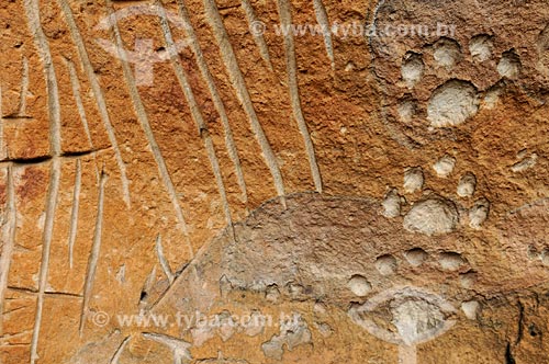  Detalhe de petróglifo - Sítio Arqueológico Pata da Onça - na Serra do Bom Jardim  - Alcinópolis - Mato Grosso do Sul (MS) - Brasil