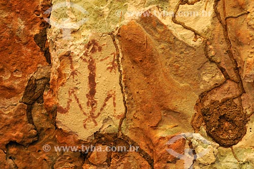  Detalhe de pintura rupestre - Sítio Arqueológico Pata da Onça - na Serra do Bom Jardim  - Alcinópolis - Mato Grosso do Sul (MS) - Brasil