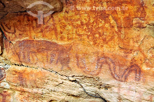  Detalhe de pintura rupestre - Sítio Arqueológico Gruta do Barro Branco  - Alcinópolis - Mato Grosso do Sul (MS) - Brasil