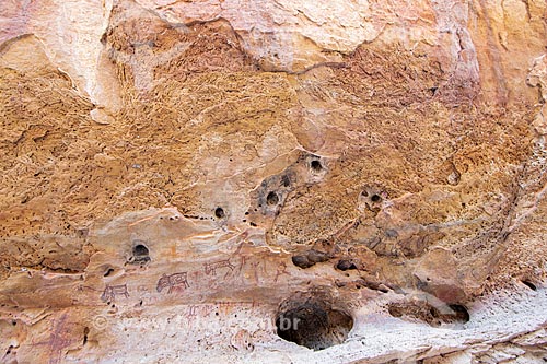  Detalhe de pintura rupestre - figura de animais e pessoas - no Sítio Arqueológico Toca do Vento - Parque Nacional Serra da Capivara  - São Raimundo Nonato - Piauí (PI) - Brasil
