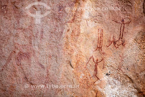  Detalhe de pintura rupestre - figura de animais e pessoas - no Sítio Arqueológico Toca do Vento - Parque Nacional Serra da Capivara  - São Raimundo Nonato - Piauí (PI) - Brasil